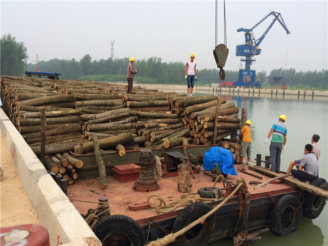 银娱优越会(中国游)股份有限公司